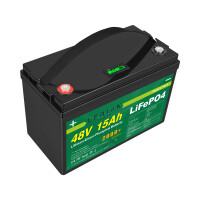 LiFePO4 Akku 48V (51,2V) 15Ah 20A Lithium-Eisen-Phosphat Batterie für Camping Boot Caravan Wohnwagen Elektromobile Golfwagen