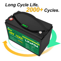 LiFePO4 Akku 48V (51,2V) 15Ah 20A Lithium-Eisen-Phosphat Batterie für Camping Boot Caravan Wohnwagen Elektromobile Golfwagen