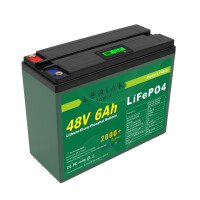 LiFePO4 Akku 48V (51,2V) 6Ah 10A Lithium-Eisen-Phosphat Batterie für Camping Boot Caravan Wohnwagen Elektromobile Golfwagen