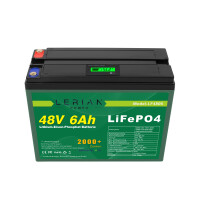 LiFePO4 Akku 48V (51,2V) 6Ah 10A Lithium-Eisen-Phosphat Batterie für Camping Boot Caravan Wohnwagen Elektromobile Golfwagen