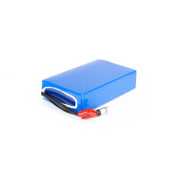 Lithium-Ionen Akku 48V 21Ah 1.008Wh SAMSUNG Zellen incl. 30A BMS & Ladegerät wasserfest für E-Bike Scooter Pedelec