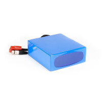 Lithium-Ionen Akku 24V 17,5Ah 420Wh Akkupack incl. 50A BMS & Ladegerät für Scooter E-Bike Pedelec