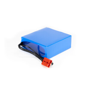 Lithium-Ionen Akku 24V 3,2Ah 76,8Wh Akkupack incl. 5A BMS Panasonic Zellen