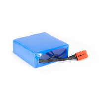 Lithium-Ionen Akku 24V 3,2Ah 76,8Wh Akkupack incl. 5A BMS Panasonic Zellen
