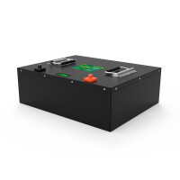 LiFePO4 Akku 48V (51,2V) 100Ah 100A Lithium-Eisenphosphat Batterie für Camping Boot Caravan Wohnwagen Elektromobile Golfwagen