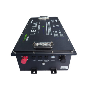 LiFePO4 Akku 72V (73,6V) 125Ah 300A Lithium-Eisenphosphat Batterie für Elektromobile Scooter Golfcarts