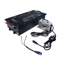 LiFePO4 Akku 72V (73,6V) 125Ah 300A Lithium-Eisenphosphat Batterie für Elektromobile Scooter Golfcarts