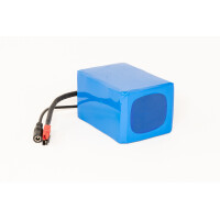 Lithium-Ionen Akku 12V 20Ah 240Wh incl. 20A BMS & Ladegerät für Scooter Camping Boot Golftrolley E-Bike Pedelec