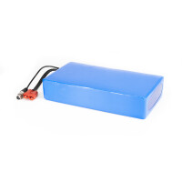 Lithium-Ionen Akku 60V 20Ah 1200Wh Akkupack incl. 50A BMS & Ladegerät für E-Bike Scooter Pedelec