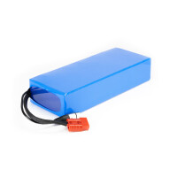 Lithium-Ionen Akku 60V 15Ah 900Wh Akkupack incl. 40A BMS & Ladegerät für Scooter E-Bike Pedelec