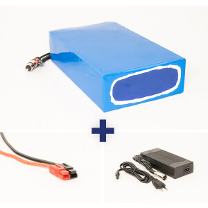 Lithium-Ionen Akku 36V 25Ah 900Wh wasserfest Akkupack incl. 30A BMS & Ladegerät für E-Bike Scooter Pedelec