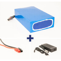 Lithium-Ionen Akku 36V 25Ah 900Wh wasserfest Akkupack incl. 30A BMS & Ladegerät für E-Bike Scooter Pedelec