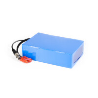 Lithium-Ionen Akku 12V 80Ah 960Wh Akkupack incl. 50A BMS & Ladegerät für Scooter E-Bike Pedelec Boot Camping Golf Trolley