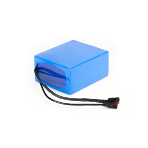 Lithium-Ionen Akku 24V 15Ah 360Wh Akkupack incl. 20A BMS & Ladegerät für Scooter E-Bike Pedelec