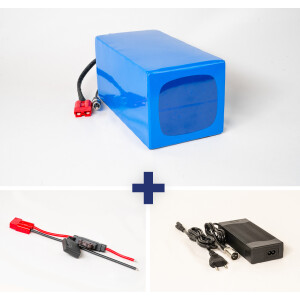 LiFePO4 Akku 24V 48Ah 50A Lithium-Eisen-Phosphat Batterie...